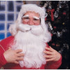 Wig - Santa W/Beard Feature