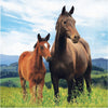 Wild Horse Napkins