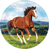 Wild Horse Paper Plates